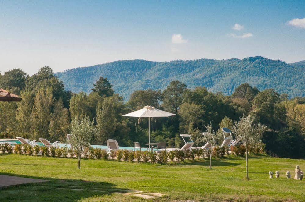 Agriturismo La Collina Del Sole Coltavolino Dış mekan fotoğraf