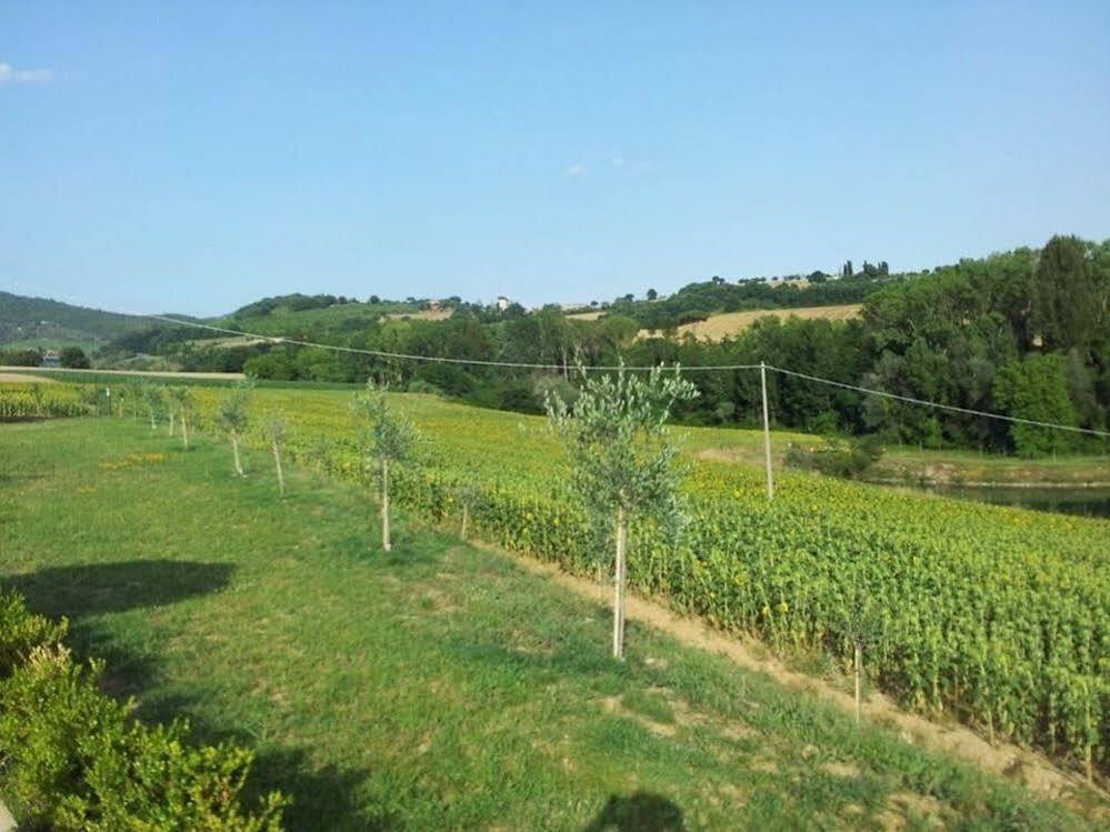 Agriturismo La Collina Del Sole Coltavolino Dış mekan fotoğraf