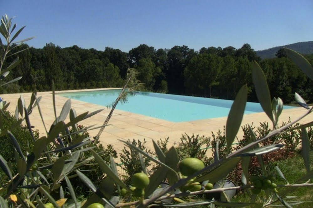 Agriturismo La Collina Del Sole Coltavolino Dış mekan fotoğraf